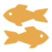 Seafood